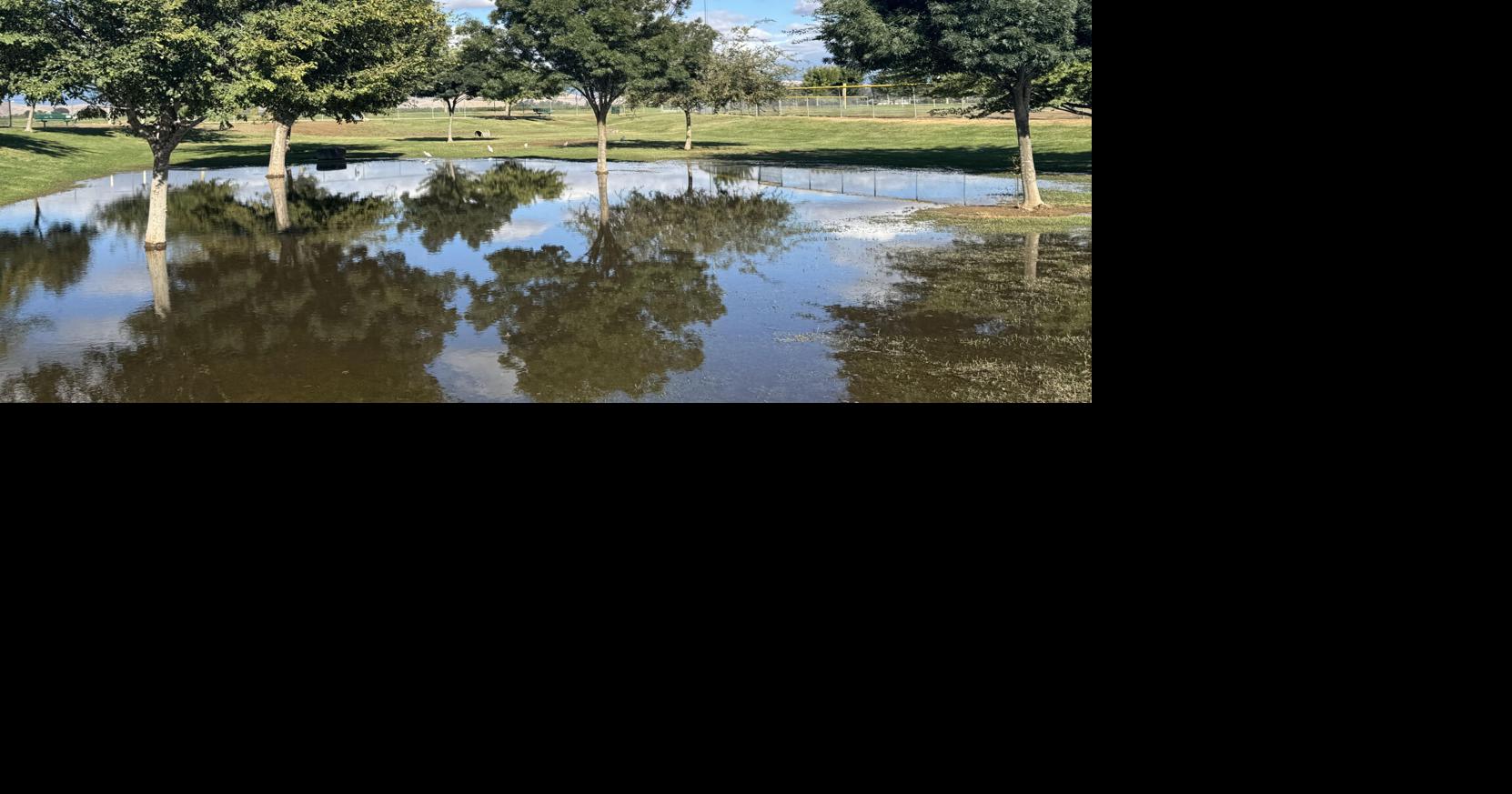 Porterville Pond | Photos | recorderonline.com