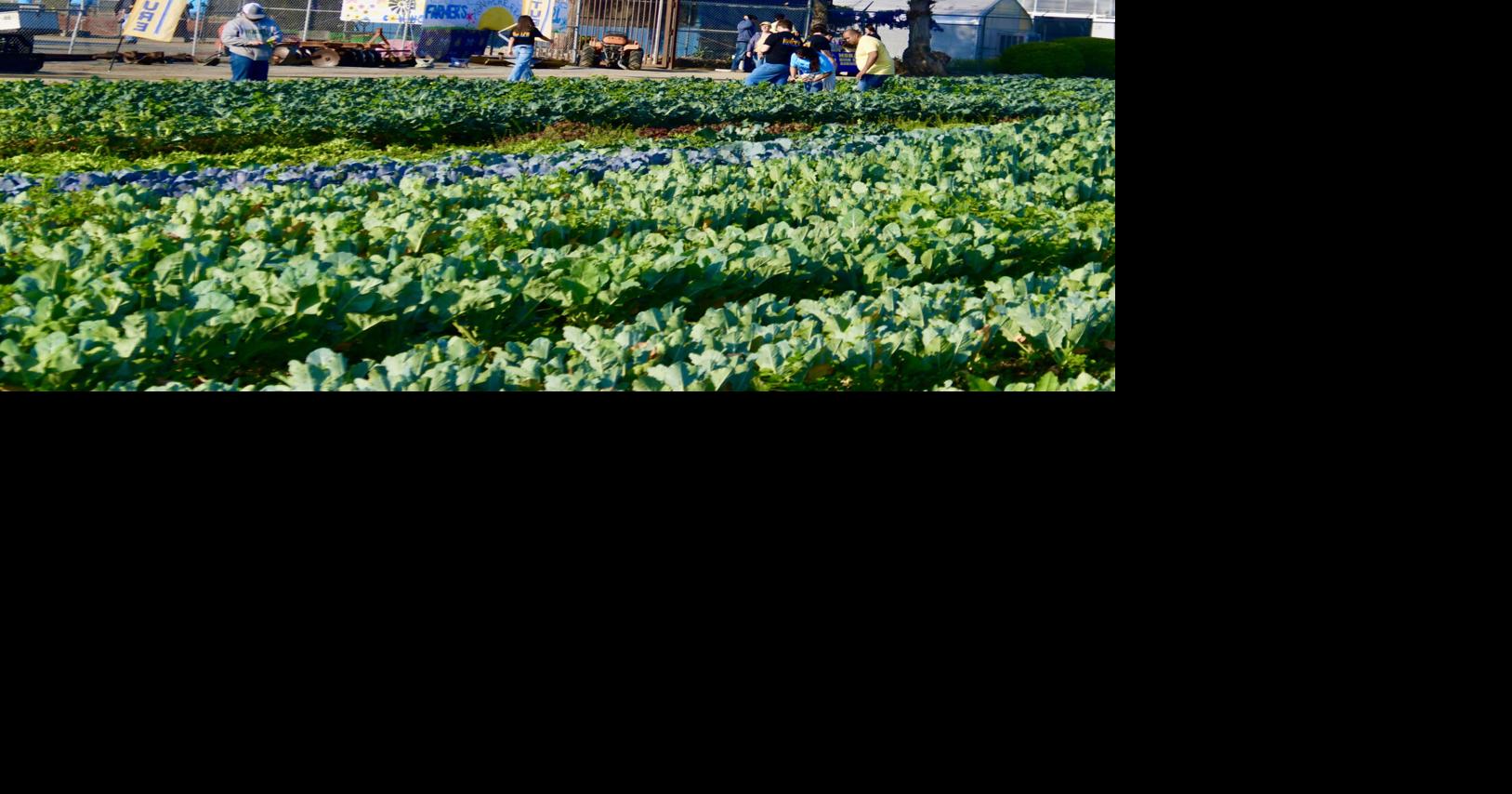 Community comes out to support MHS FFA Farmers Day