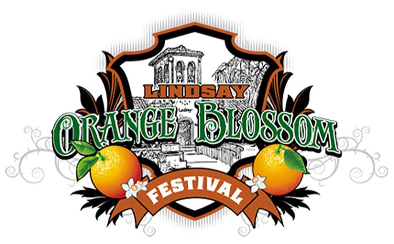 Orange Blossom Festival In full swing News