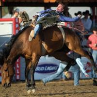 Springville Sierra Rodeo — Exciting time for young, old ...