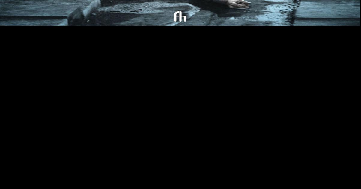 Rick Kogan: ‘Cinematic Immunity’ shows us the action behind the movie-making glitz and glitter