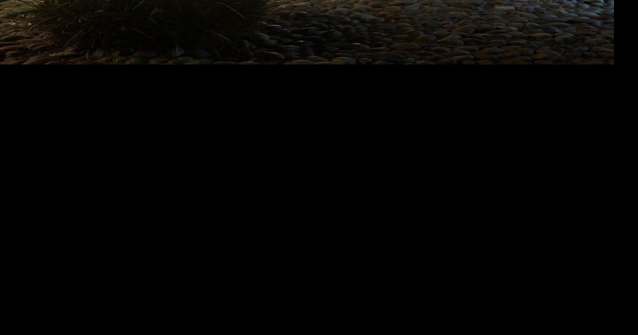 TCSO responds to driveby shooting in Orosi News