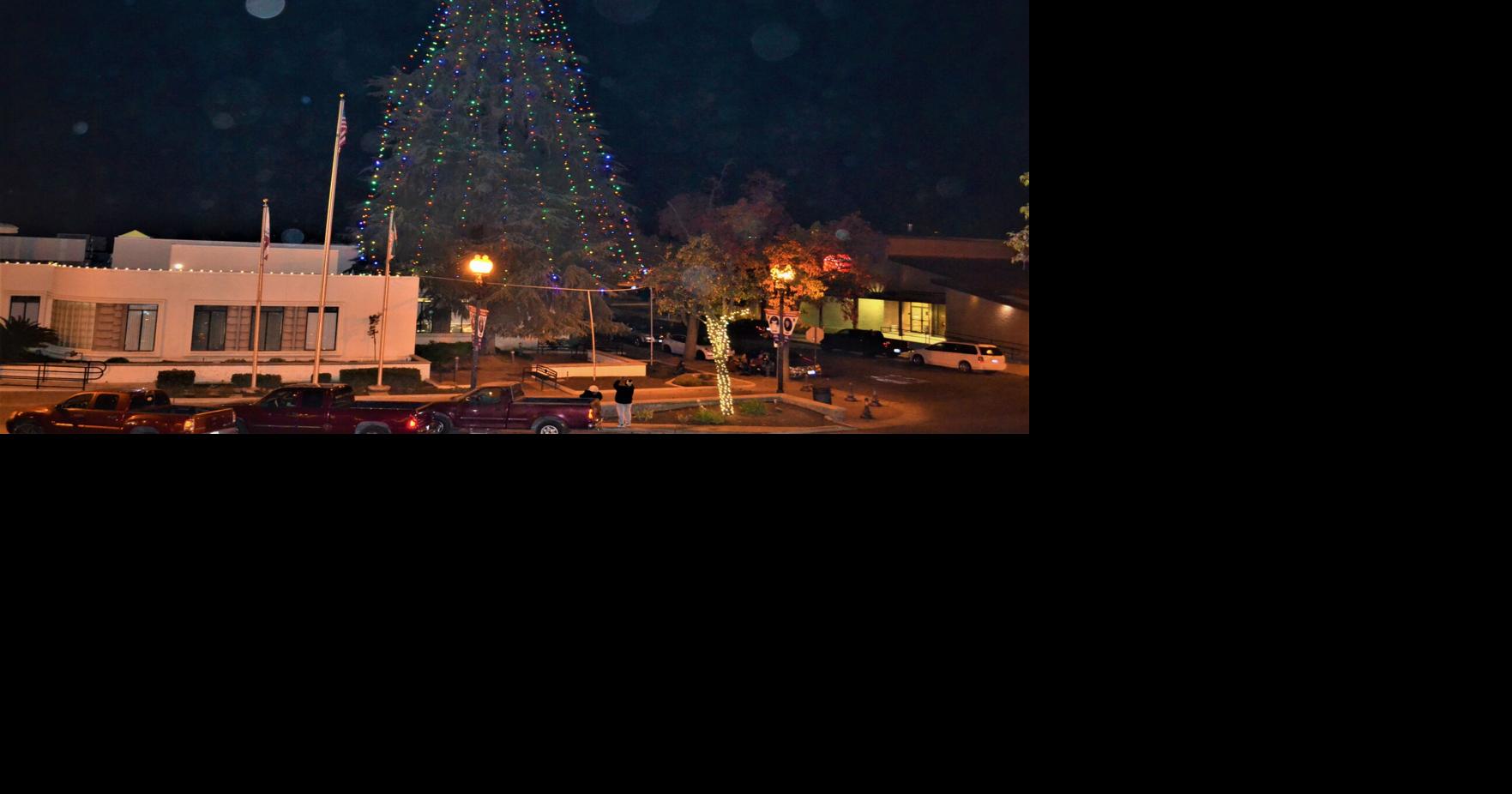 Like A Hallmark Movie Christmas Tree Lighting lights up season