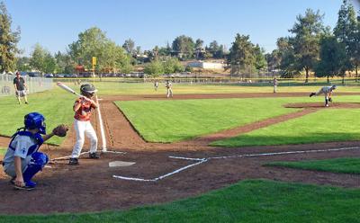 Registration open for Turlock Little League baseball, softball - Turlock  Journal