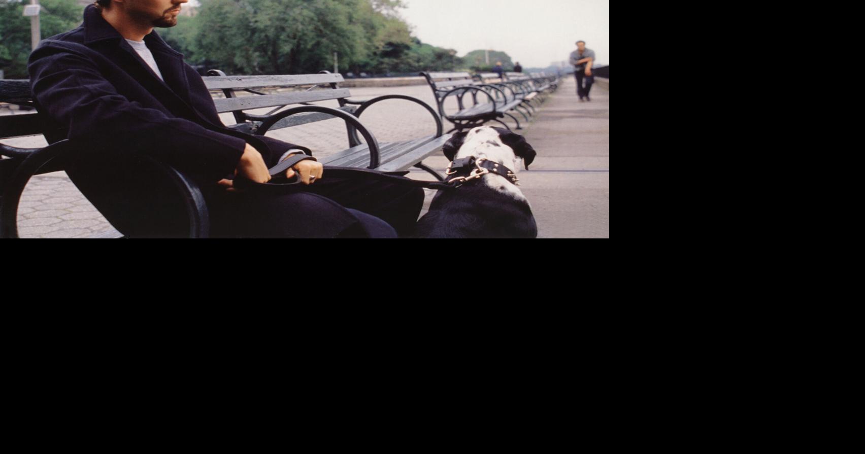 9 movies that best capture the mood of 9/11 Joshua Rothkopf and Josh Rottenberg, Los Angeles Times Sep 11, 2026 13 mins ago