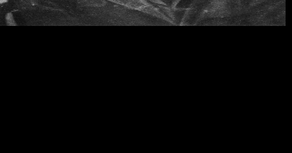 Review: A new PBS documentary reveals why Henry David Thoreau’s radicalism resonates today