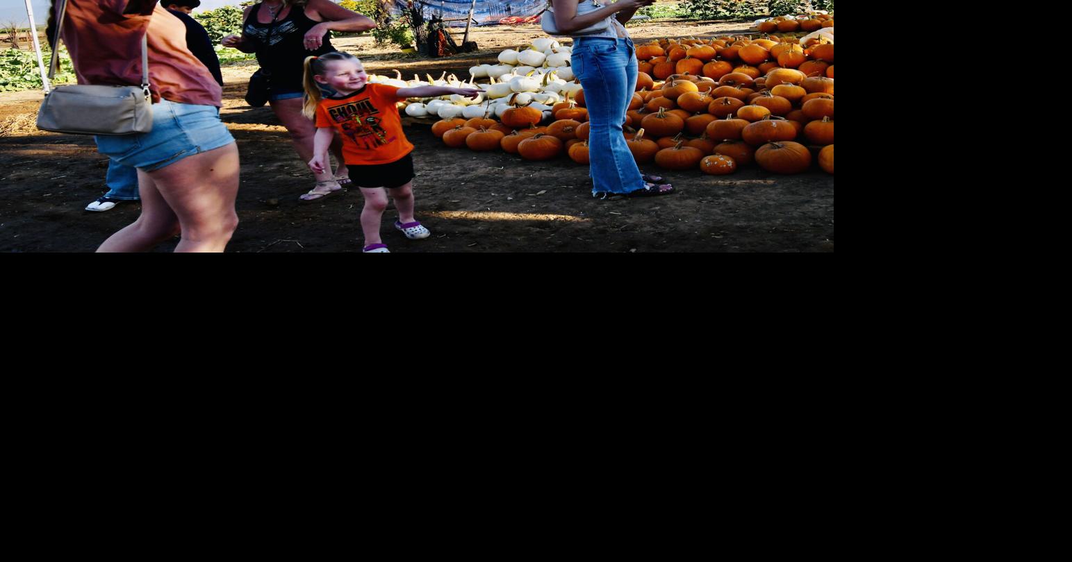 Meet You At The Junction: Ribbon cutting for Nuckols Pumpkin Junction BY JAMIE A. HUNT jhunt@portervillerecorder.com Oct 8, 2026 9 mins ago