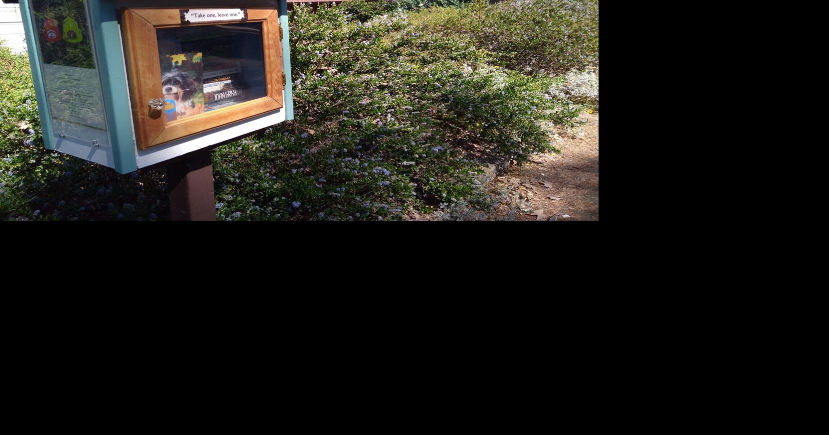 Effort begins to set up 100 little libraries | News | recorderonline.com