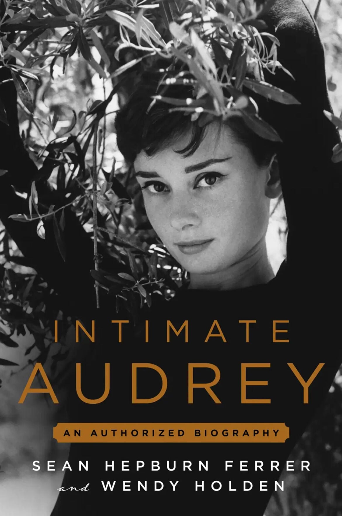 'Intimate Audrey' comes from someone who knew Hepburn best ...