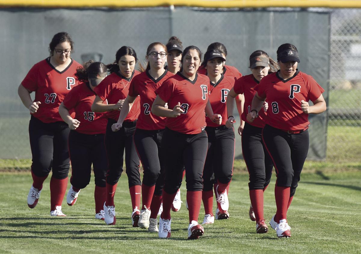 Pc Softball Pirates Excited For Season Start Sports Recorderonline Com
