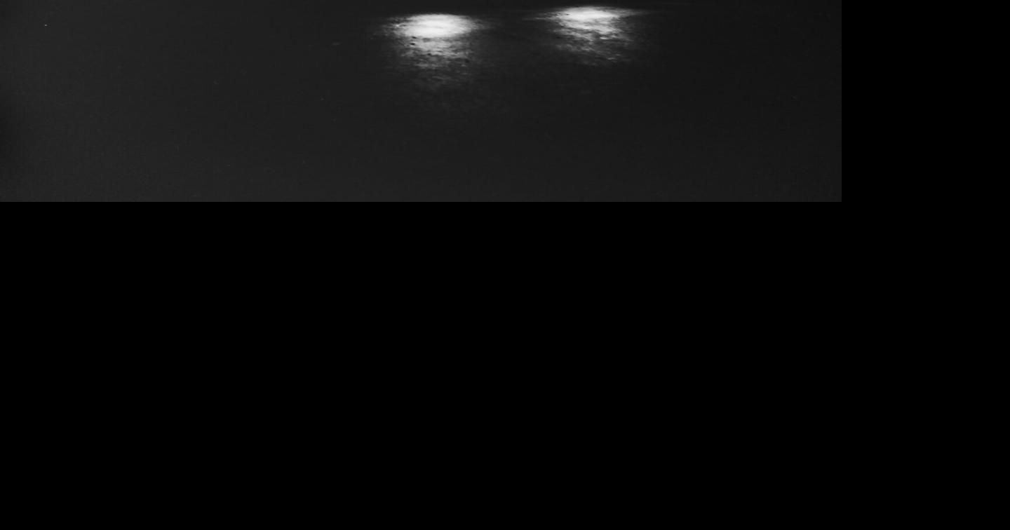 Notes From Home: Book Scraps