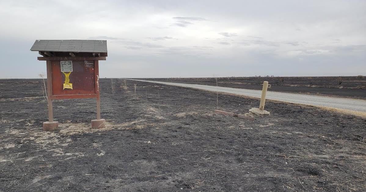 Notes From Home: Entering Public Lands BY TRUDY WISCHEMANN Sep 11, 2026 10 mins ago