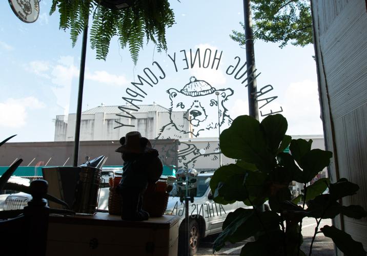 PHOTOS First look, Athens Bear Hug Honey Multimedia