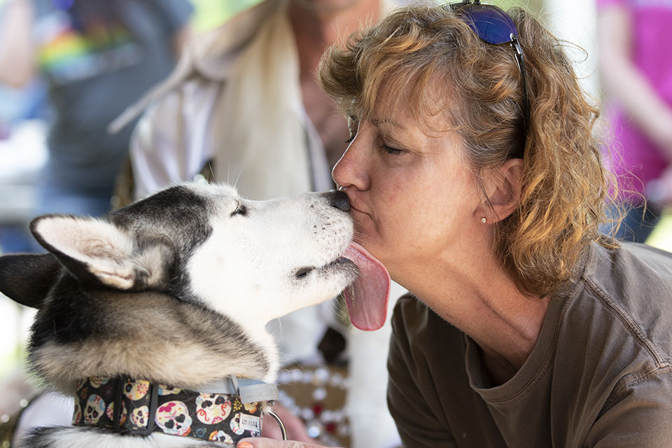 190428_ks_MuttStrut_013.jpg