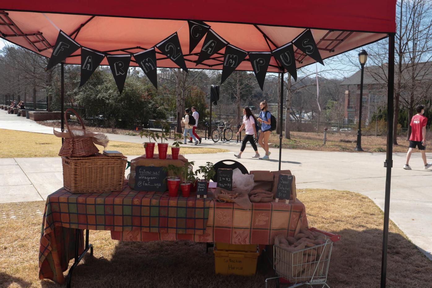 210310_KAT_Farm to Campus 005.jpg