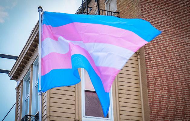 COLUMN: The legislative onslaught against trans people reveals recycled bigotry - Vimarsana News