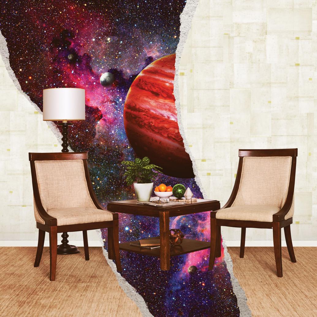 Review Rainbow Kitten Surprise releases poetic third album Arts