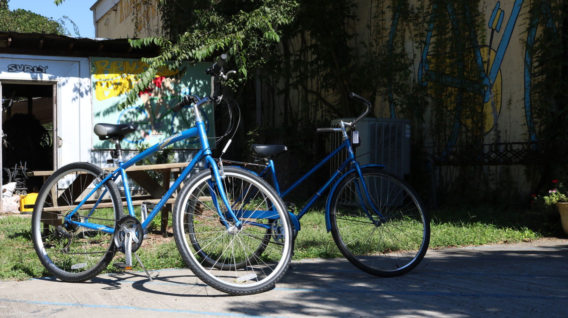 alleycat bike