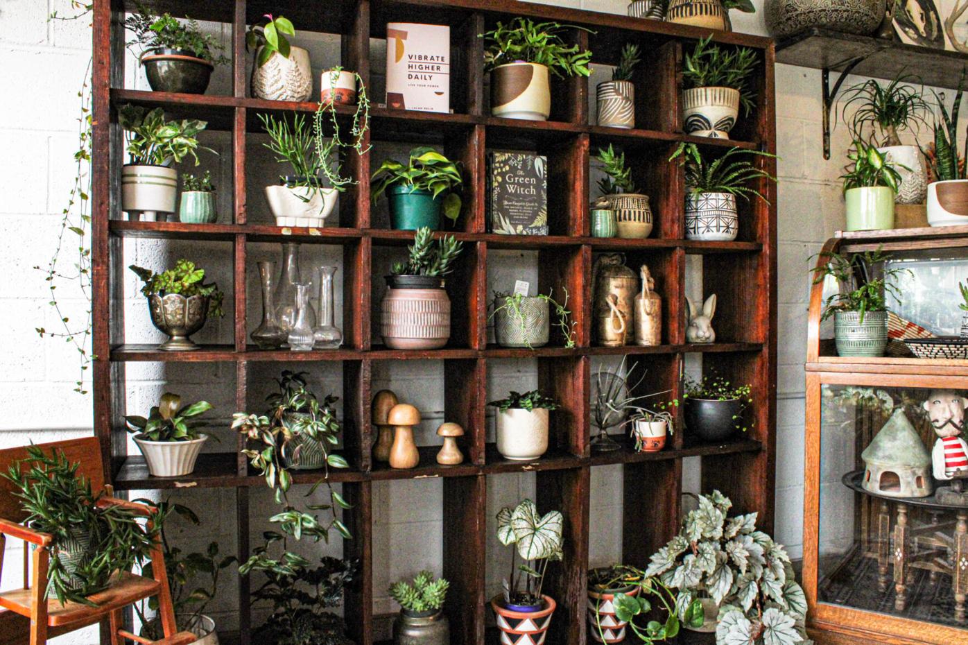 210417_MDV_abnormal bazaar 006.jpg