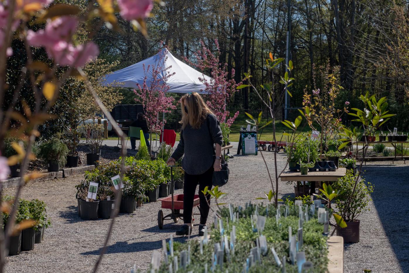 210403_LMY_PlantSale_0006.jpg