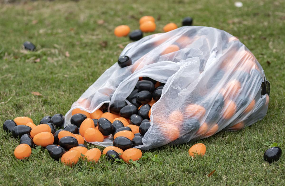 201009_ks_PumpkinHunt_06.jpg