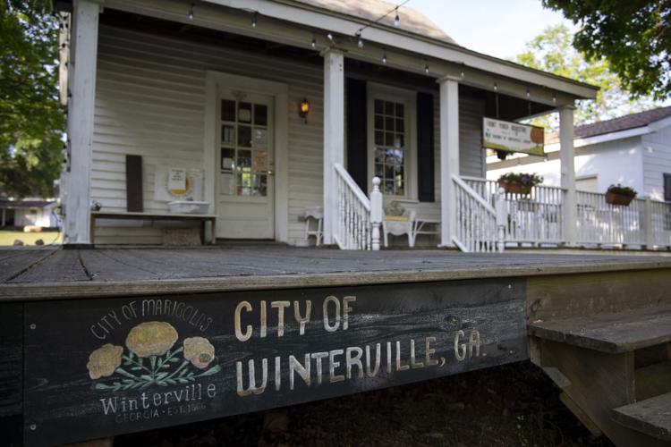 PHOTOS Winterville prepares to host annual marigold festival