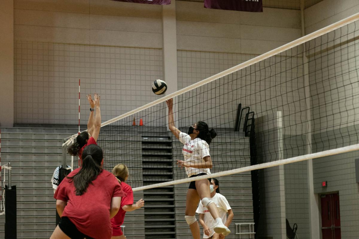 201111_ACI_ClubVolleyball_004.jpg