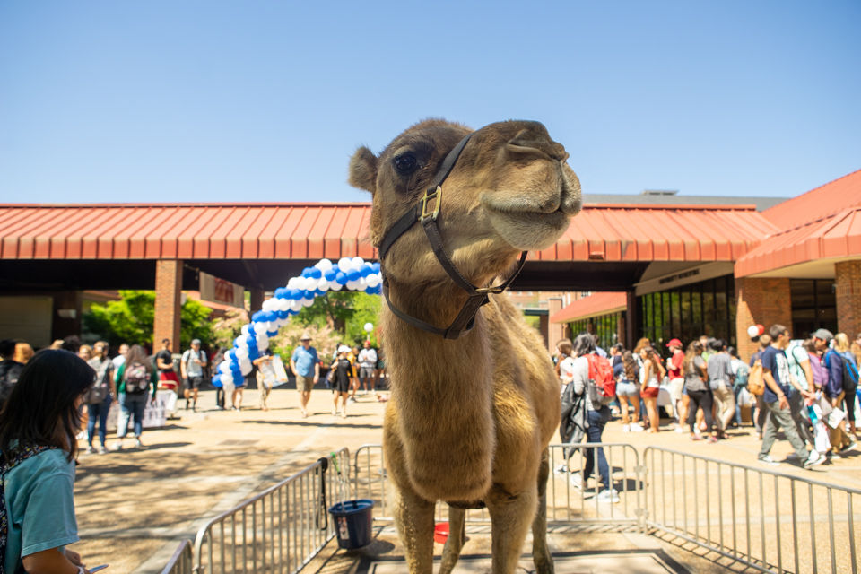 190410_KN_IsraelFest_4.jpg