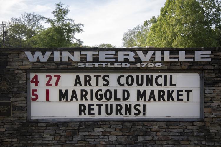 PHOTOS Winterville prepares to host annual marigold festival