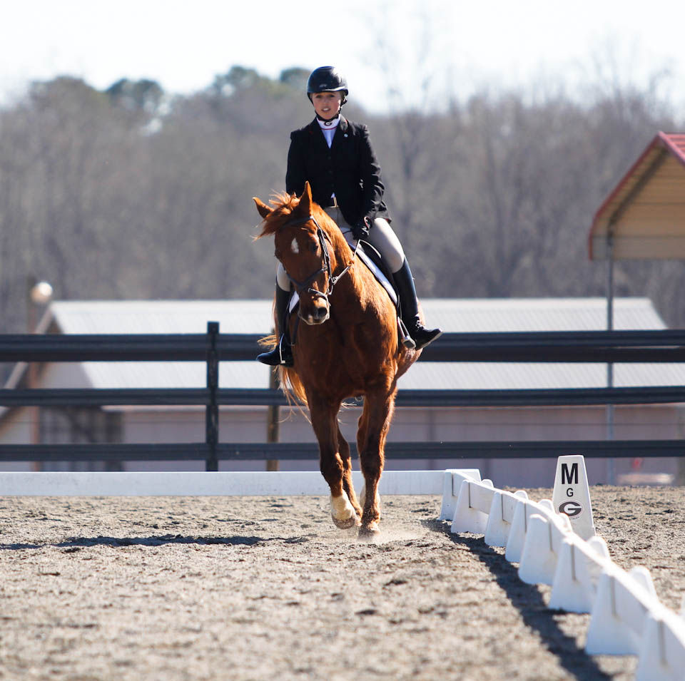 vs. Delaware State Equestrian Competition