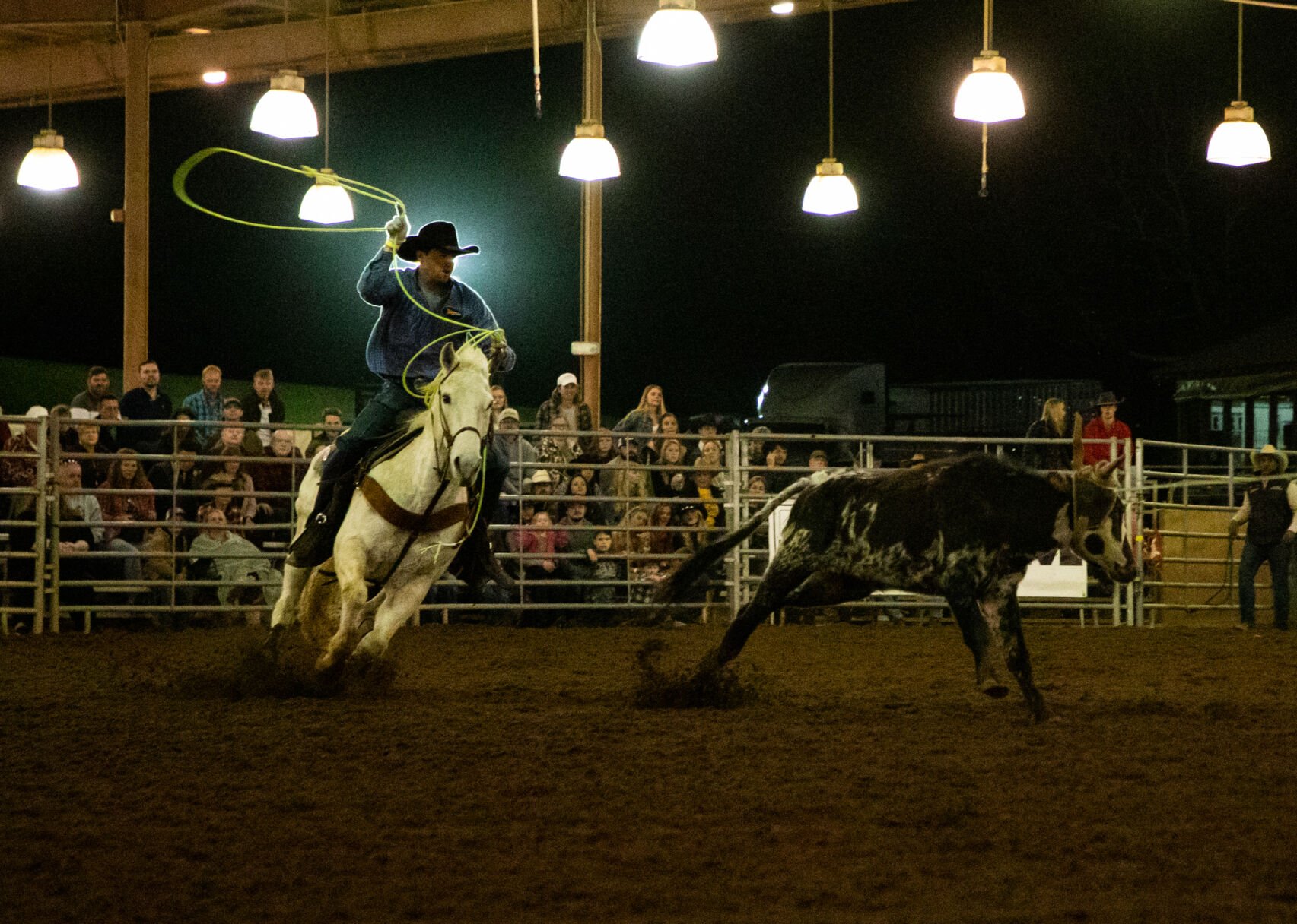 The Great Southland Stampede Rodeo returns to Athens | Arts