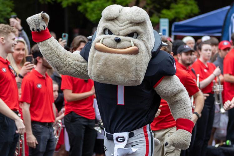 2022 G-Day Photo Gallery - Image 8: Atlanta Braves mascot Blooper and  Georgia mascot Hairy Dawg fire up fans at the Dawg walk before the start of  the G-Day spring football game