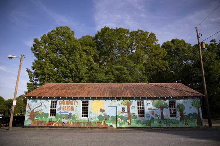PHOTOS Winterville prepares to host annual marigold festival