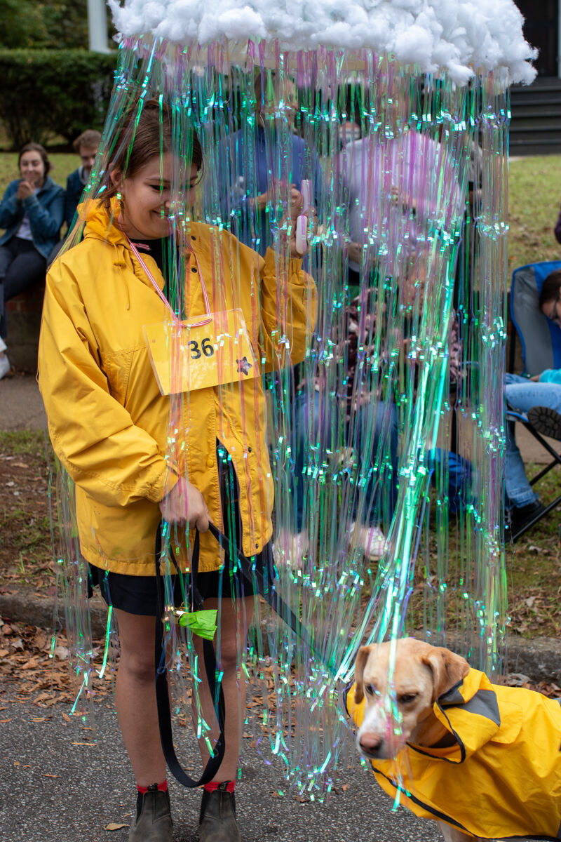 The Boo-le-Bark on the Boulevard Dog Costume Parade