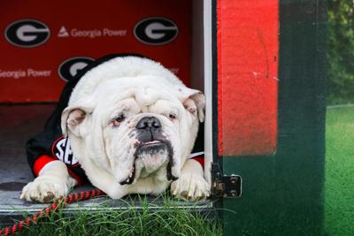 UGA football: Dawg-Gone legend Harry Dog was front-page news in Athens