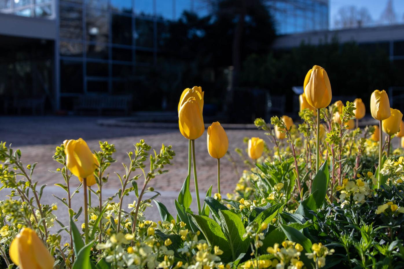 210322_SMH_Spring Botanical Gardens 019.jpg