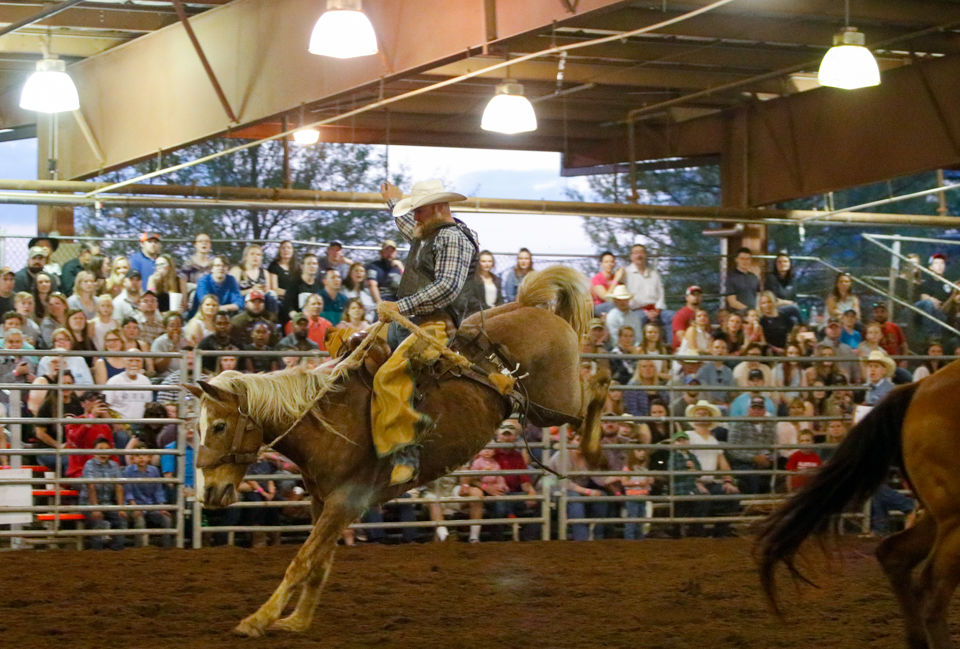 PHOTOS Great Southland Stampede Rodeo Multimedia