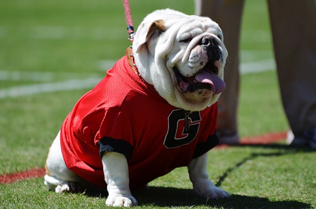 Nike uga dog shop jersey