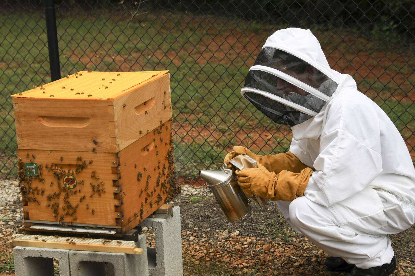 Lucky Bee Farms Honey  Athens, GA — Athens Cooks
