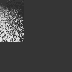 GUEST COLUMN: The greatest nude streaking event happened at UGA