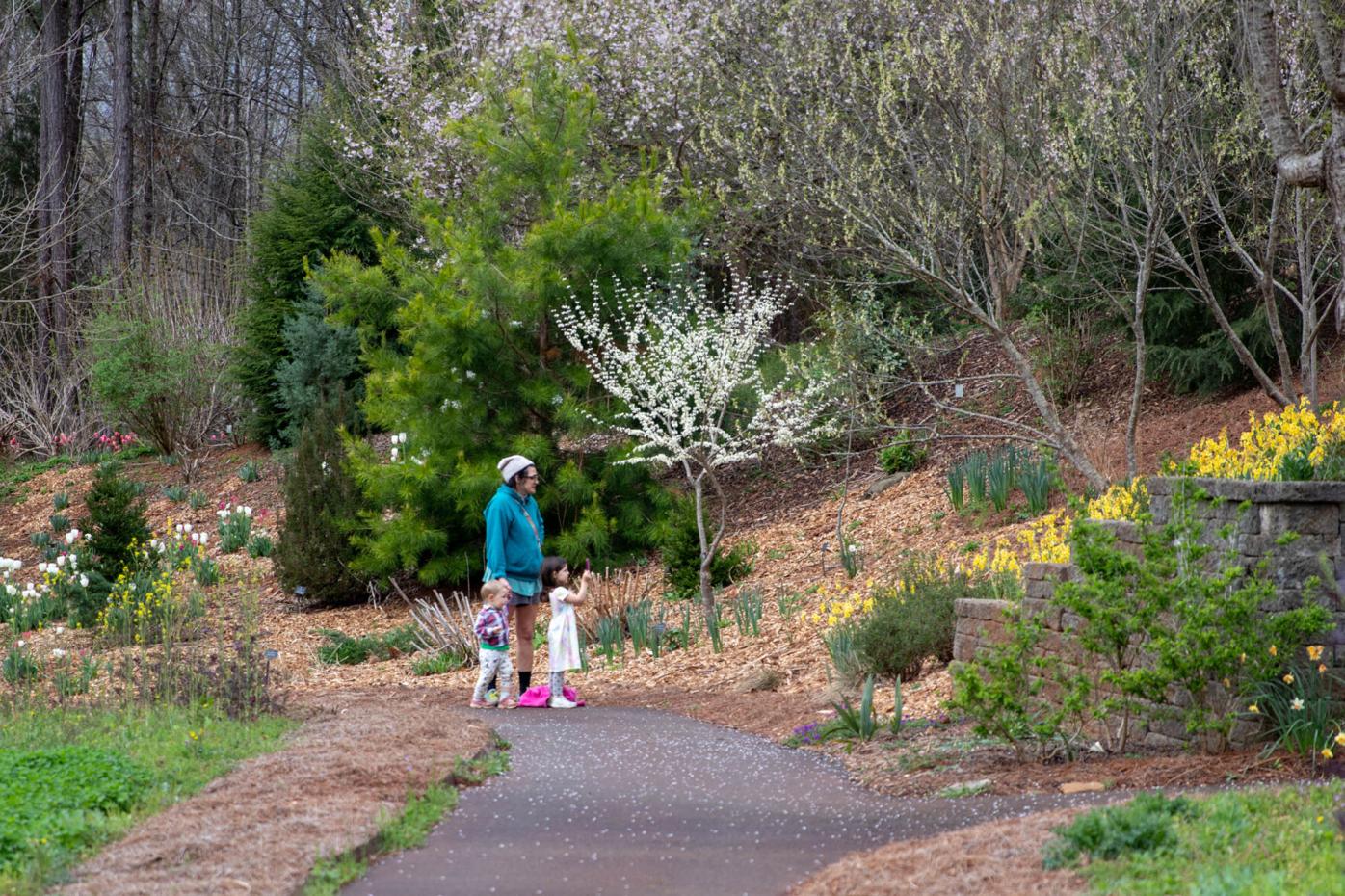 210324_SMH_Spring Botanical Gardens 001.jpg