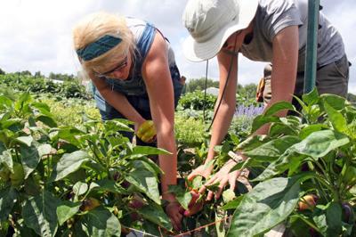 Uga Launches Agriculture Certificate For Data Science This