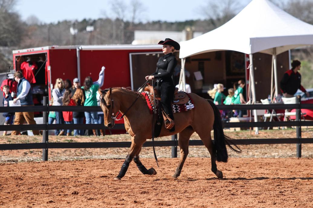 equestrian riders earn SEC honors Equestrian