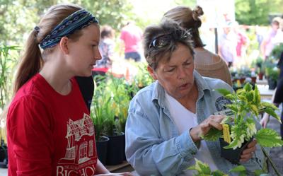 04142018mkd_plantapalooza0026a.jpg