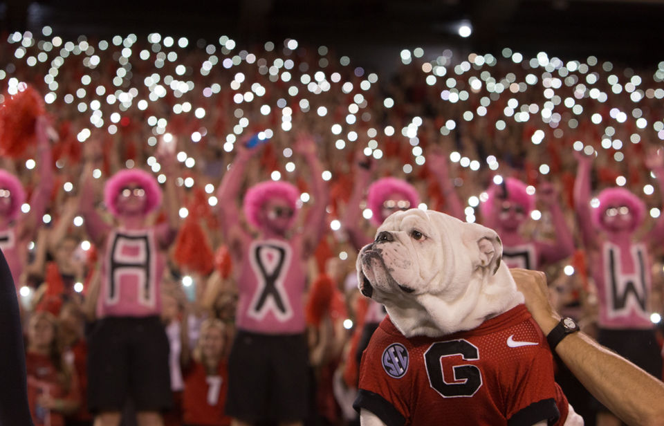 University of Georgia mascot drawing Uga deals oringal pencil