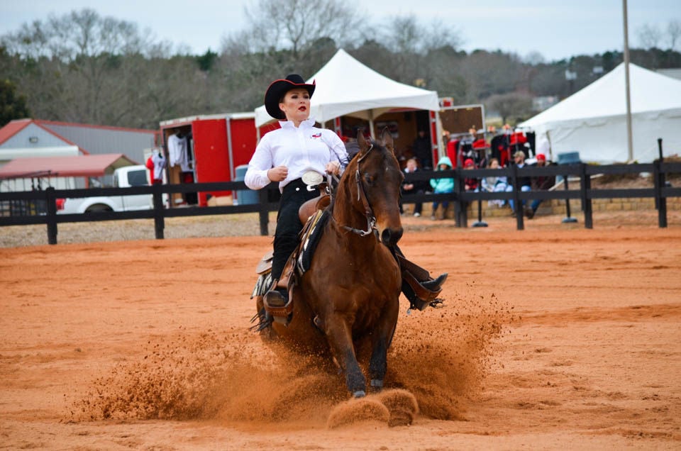 190209_MG_UGAEquestVsTAM_-0535.jpg