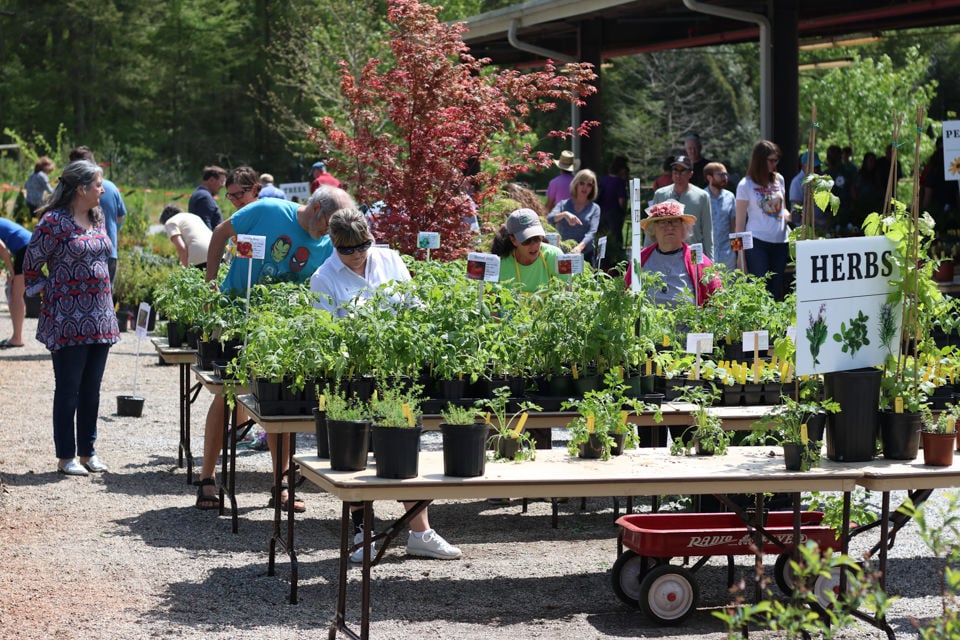 PHOTOS: Plantapalooza | Multimedia | redandblack.com