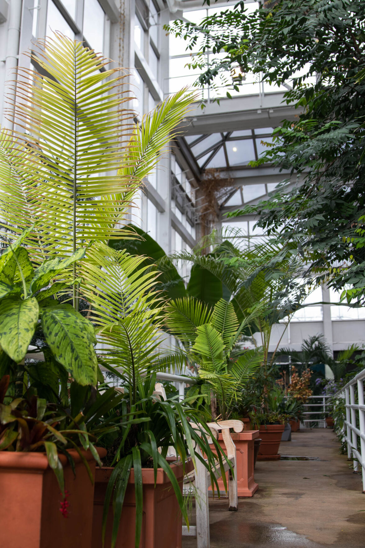 210324_SMH_Spring Botanical Gardens 007.jpg