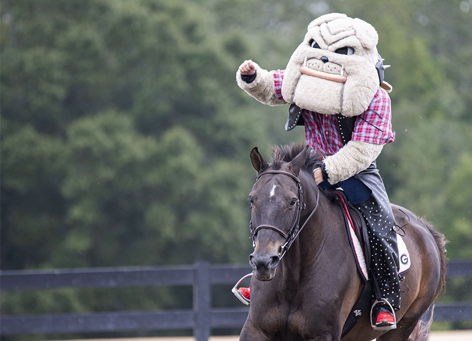 PHOTOS UGA equestrian takes the win over South Carolina, 145