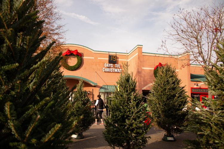 PHOTOS Beechwood holiday market brings Santa, trees, gifts to Athens